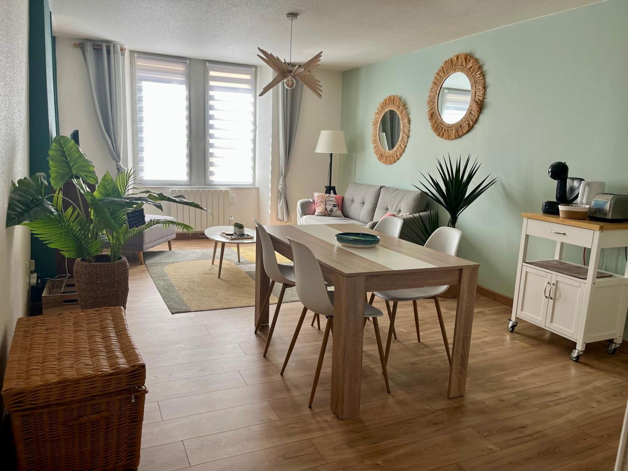 Confort & Style Dans Ce Joli De 44 M2, Separee, Plein Centre De Appartement Dole